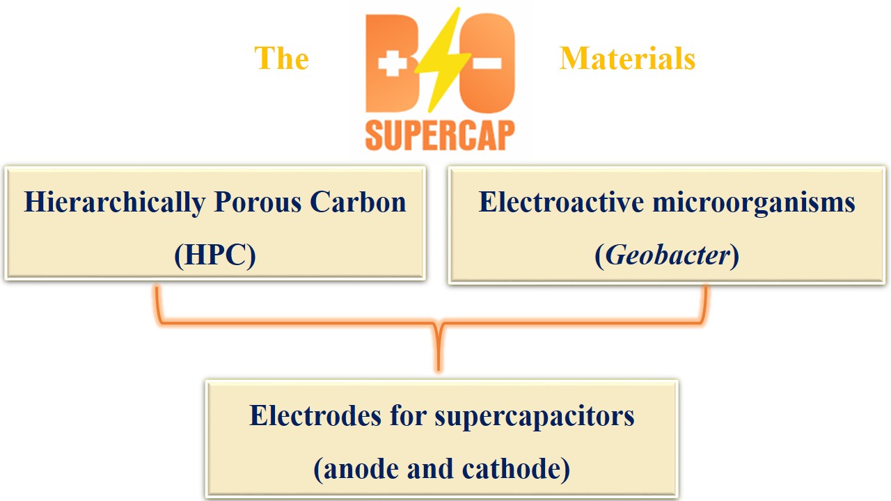 BioSUPERCAP about the project